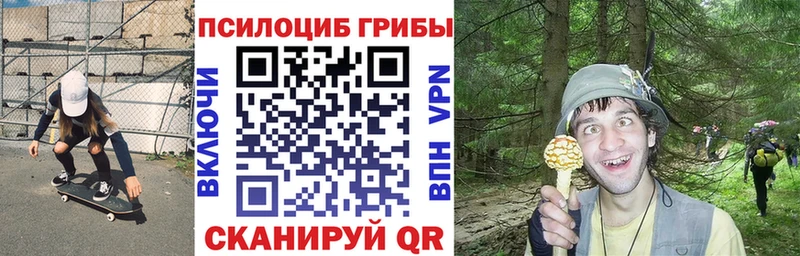 купить  цена  Демидов  Галлюциногенные грибы MAGIC MUSHROOMS 